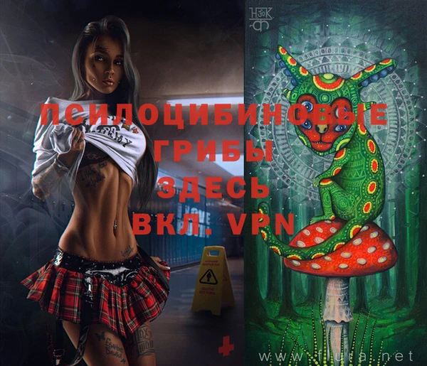 индика Абинск