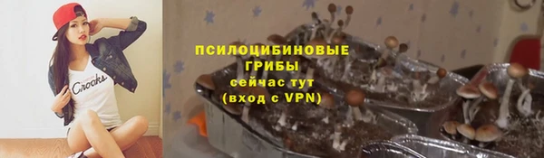 гидра Абдулино