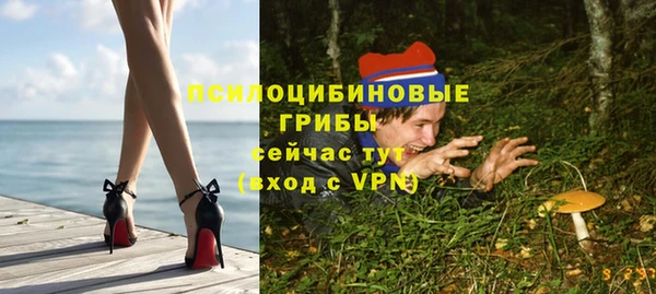 a pvp Абаза